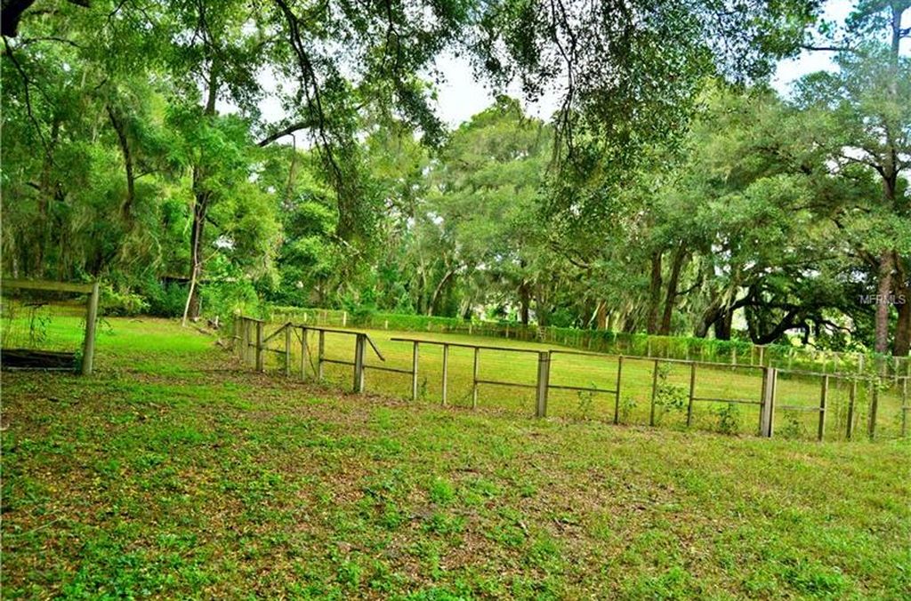1008 N Thompson Rd, Apopka, FL 32712 -  $970,000 home for sale, house images, photos and pics gallery