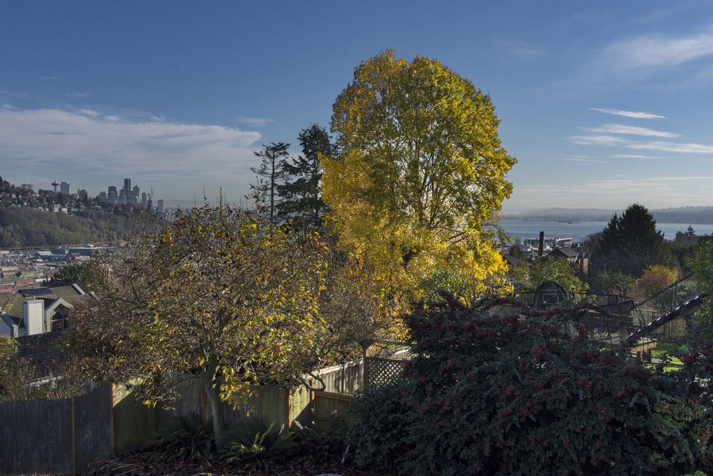 2514 25th Ave W, Seattle, WA 98199 -  $1,065,000 home for sale, house images, photos and pics gallery